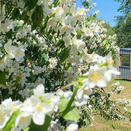 L'escargoterie De La Forge - Immersion Champetre Holiday home Uzemain