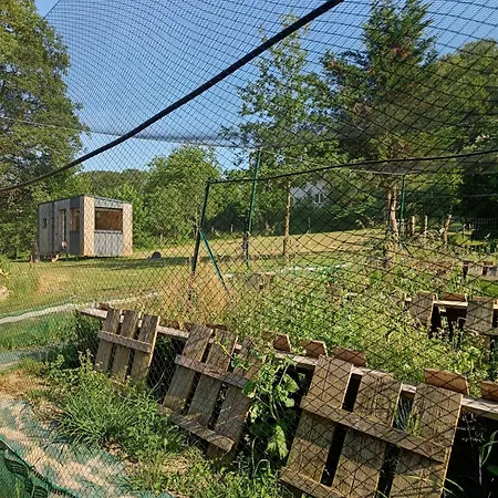 L'escargoterie De La Forge - Immersion Champetre