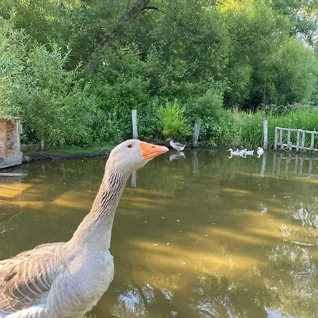 L’escargoterie De La Forge - Immersion Champêtre Hébergement de vacances *