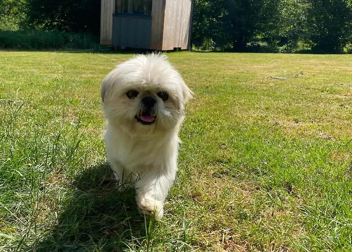 Vakantiehuis L'escargoterie De La Forge - Immersion Champetre Uzemain