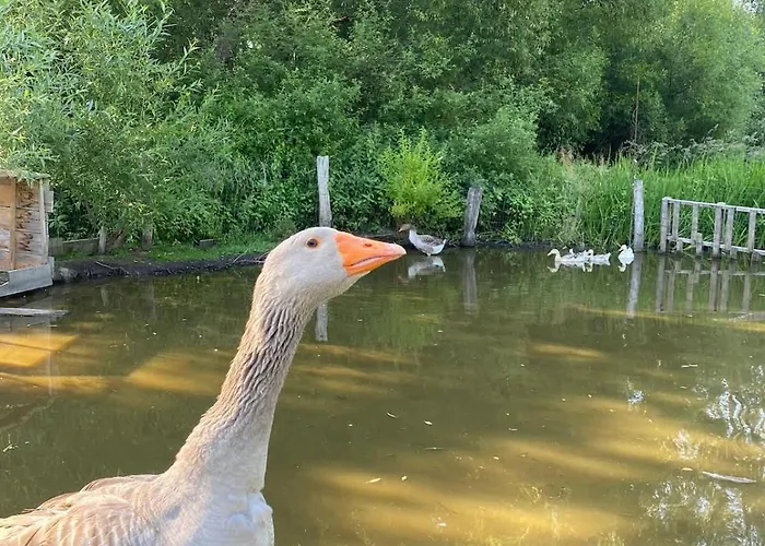 L'escargoterie De La Forge - Immersion Champetre Vakantiehuis *