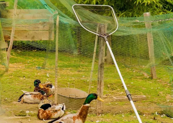 Vakantiehuis L'escargoterie De La Forge - Immersion Champetre *